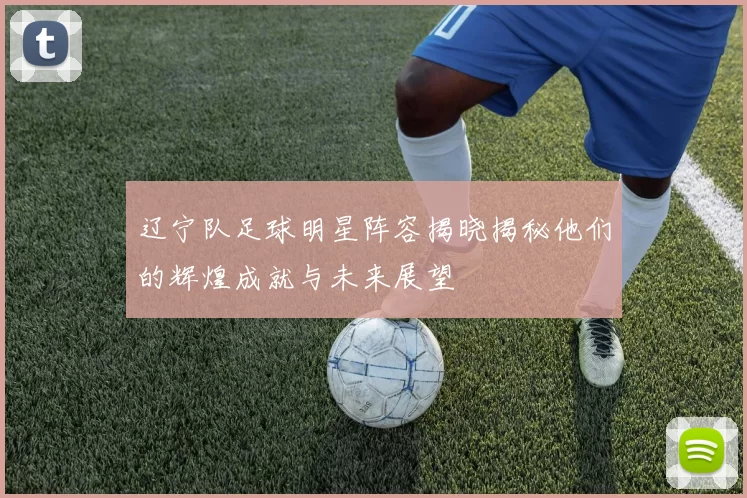 辽宁队足球明星阵容揭晓揭秘他们的辉煌成就与未来展望