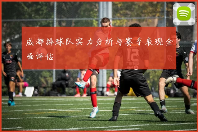 成都排球队实力分析与赛季表现全面评估