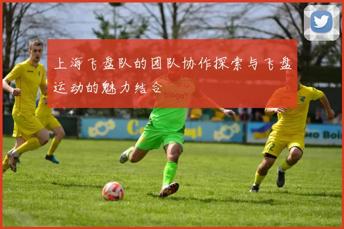 上海飞盘队的团队协作探索与飞盘运动的魅力结合