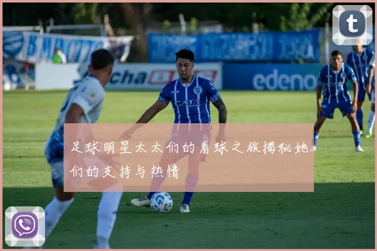 足球明星太太们的看球之旅揭秘她们的支持与热情