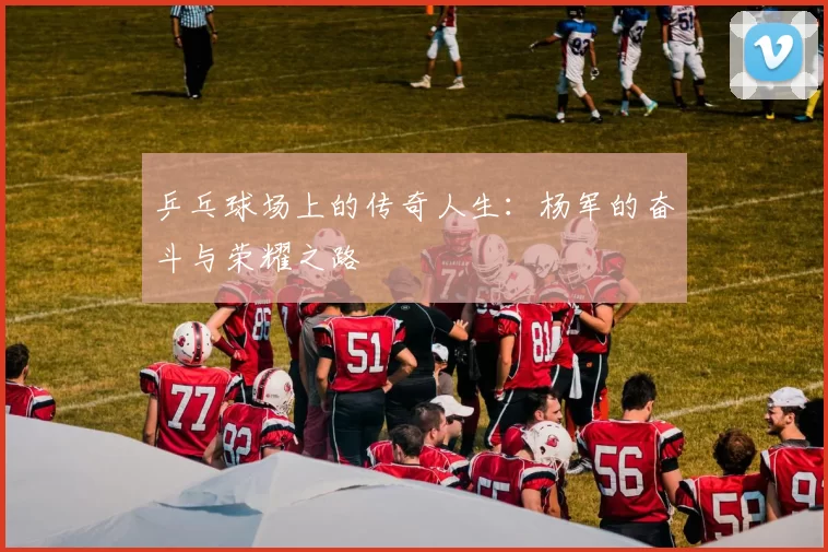 乒乓球场上的传奇人生：杨军的奋斗与荣耀之路