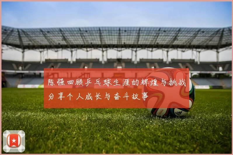 陈强回顾乒乓球生涯的辉煌与挑战分享个人成长与奋斗故事