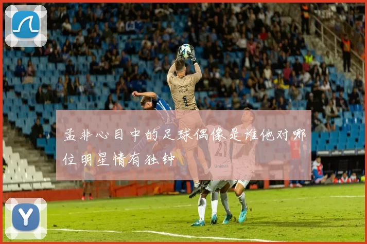 孟非心目中的足球偶像是谁他对哪位明星情有独钟