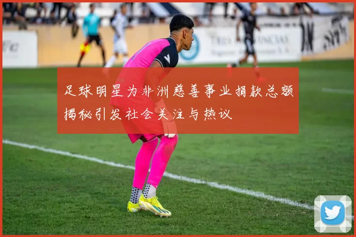 足球明星为非洲慈善事业捐款总额揭秘引发社会关注与热议