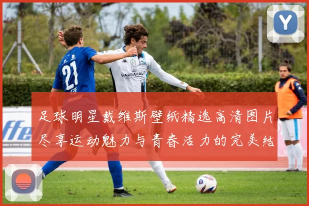足球明星戴维斯壁纸精选高清图片尽享运动魅力与青春活力的完美结合
