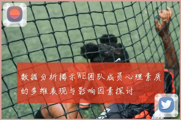 数据分析揭示WE团队成员心理素质的多维表现与影响因素探讨