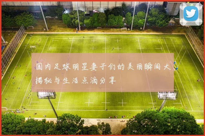 国内足球明星妻子们的美丽瞬间大揭秘与生活点滴分享
