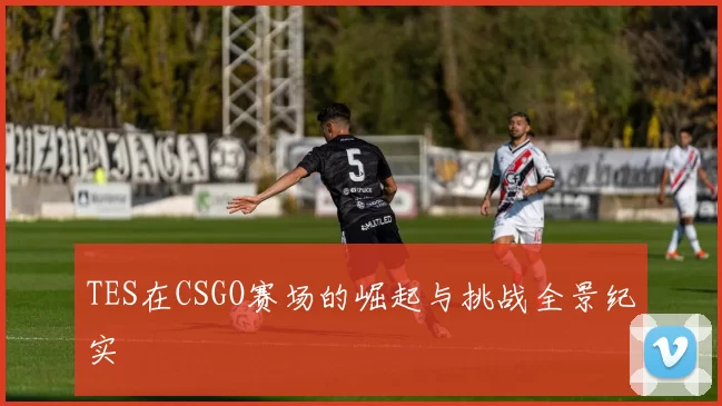 TES在CSGO赛场的崛起与挑战全景纪实