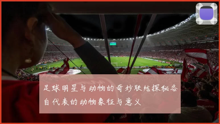 足球明星与动物的奇妙联结探秘各自代表的动物象征与意义