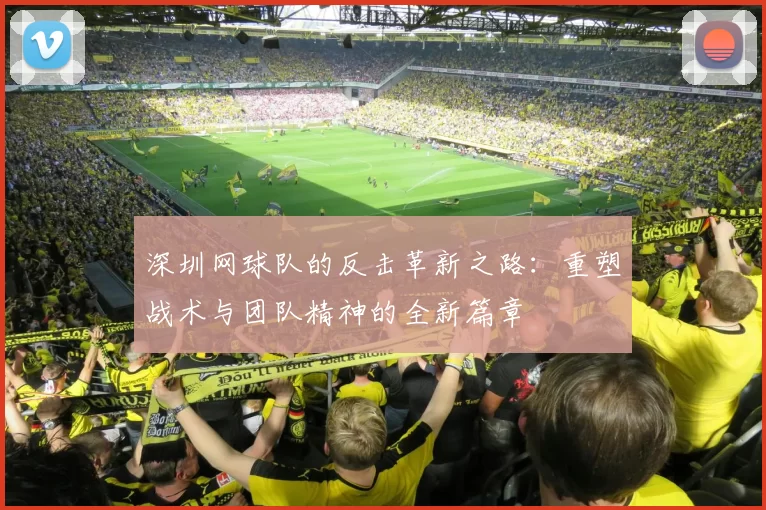 深圳网球队的反击革新之路：重塑战术与团队精神的全新篇章