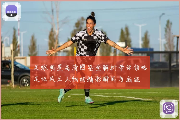足球明星高清图鉴全解析带你领略足坛风云人物的精彩瞬间与成就