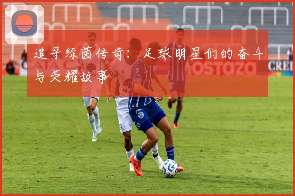追寻绿茵传奇：足球明星们的奋斗与荣耀故事