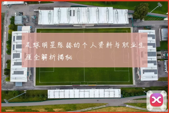 足球明星陈赫的个人资料与职业生涯全解析揭秘