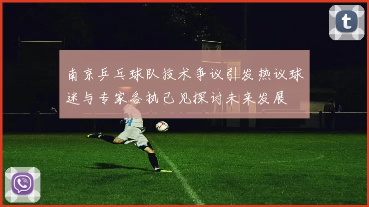 南京乒乓球队技术争议引发热议球迷与专家各执己见探讨未来发展