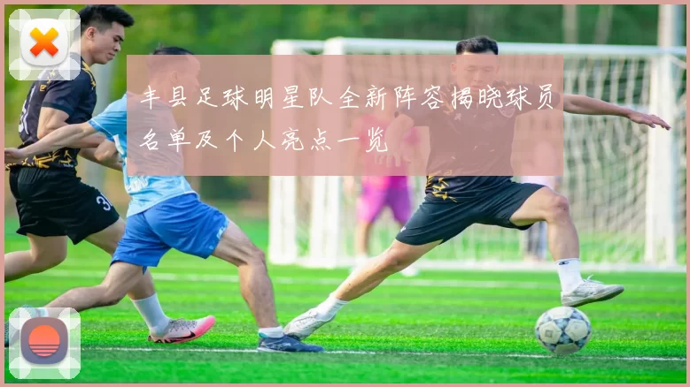 丰县足球明星队全新阵容揭晓球员名单及个人亮点一览