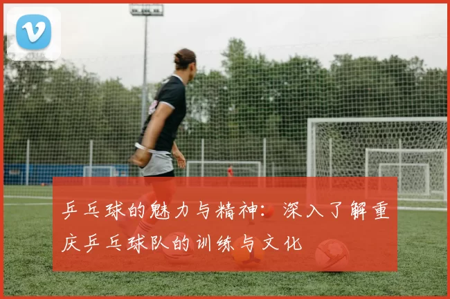 乒乓球的魅力与精神：深入了解重庆乒乓球队的训练与文化