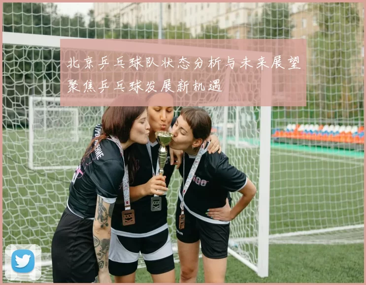 北京乒乓球队状态分析与未来展望聚焦乒乓球发展新机遇