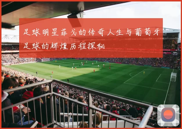 足球明星菲戈的传奇人生与葡萄牙足球的辉煌历程探秘