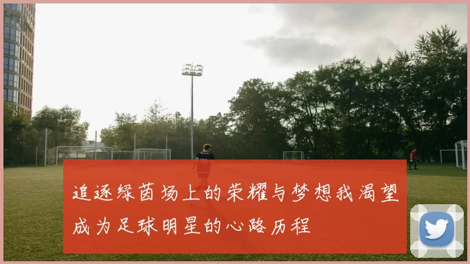 追逐绿茵场上的荣耀与梦想我渴望成为足球明星的心路历程