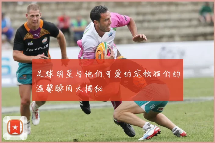 足球明星与他们可爱的宠物猫们的温馨瞬间大揭秘